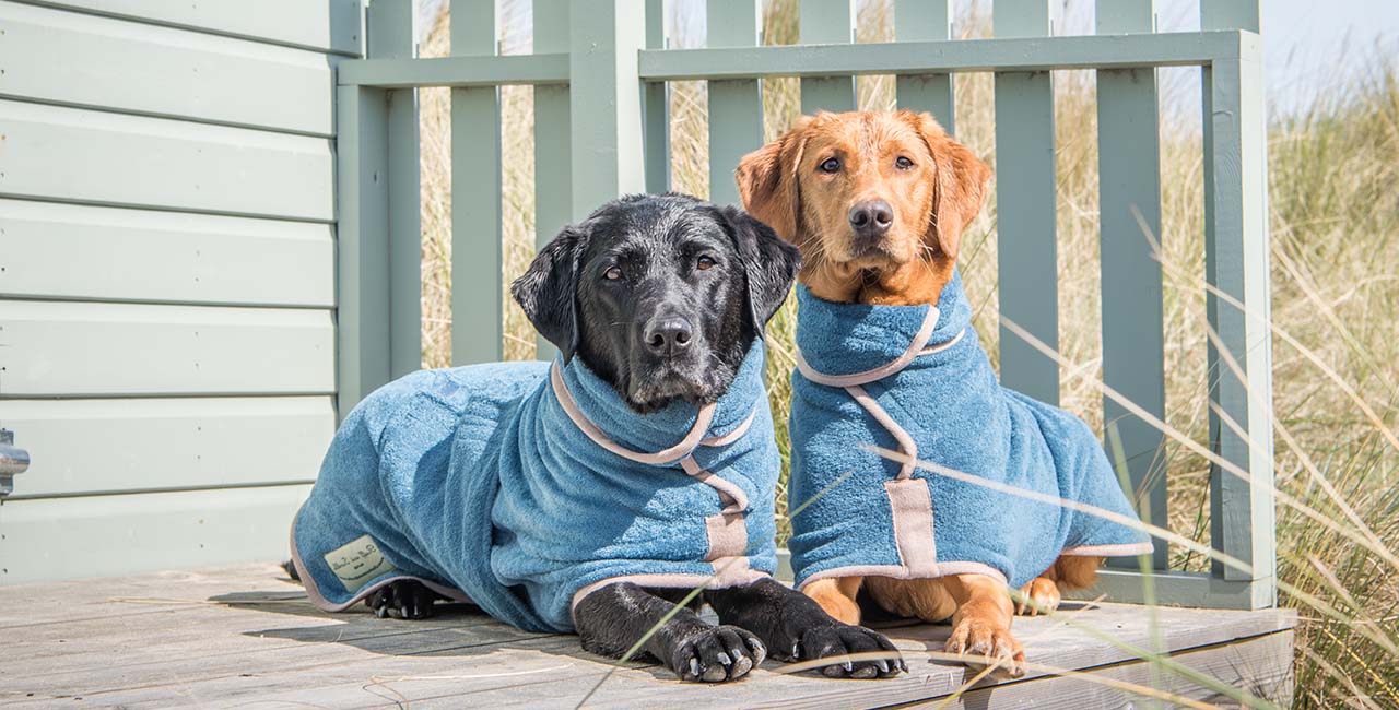 Dog clearance drying coat