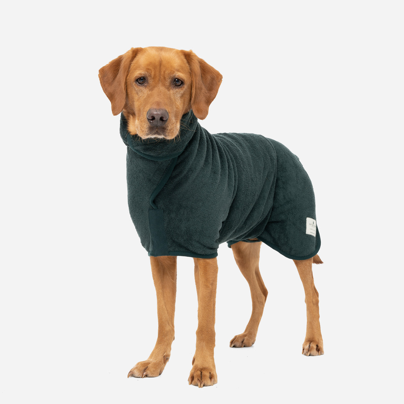 Labrador drying coat hotsell