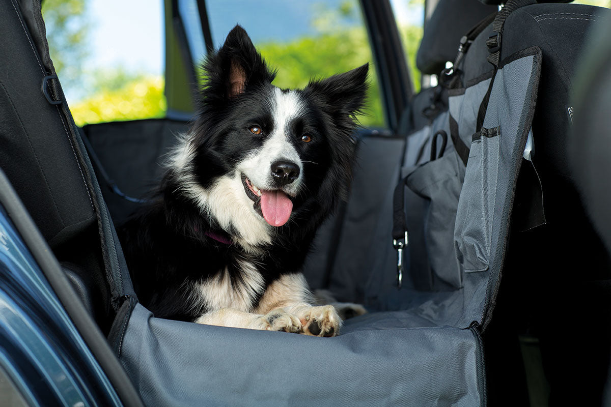 Car dog hot sale guards aldi